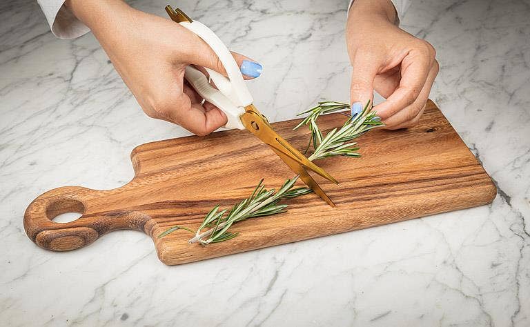 Multi Purpose Kitchen Shears-9"L: White