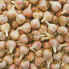 Roasted Garlic Savory Jam