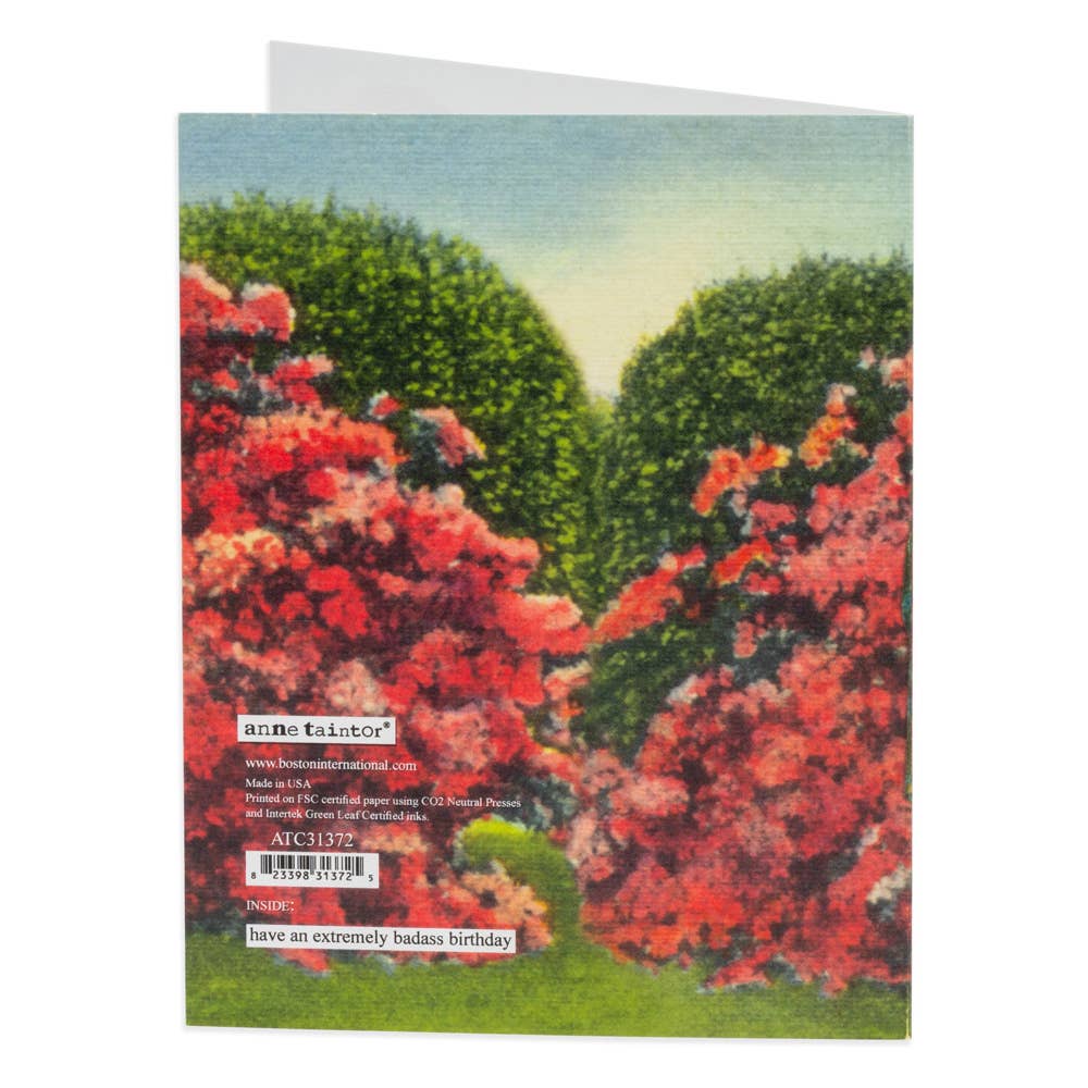 Birthday Card Poor Choices Anne Taintor