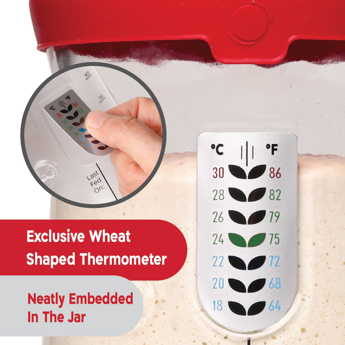 KneadAce® PRO  34 Oz Sourdough Starter Jar: Single Pack