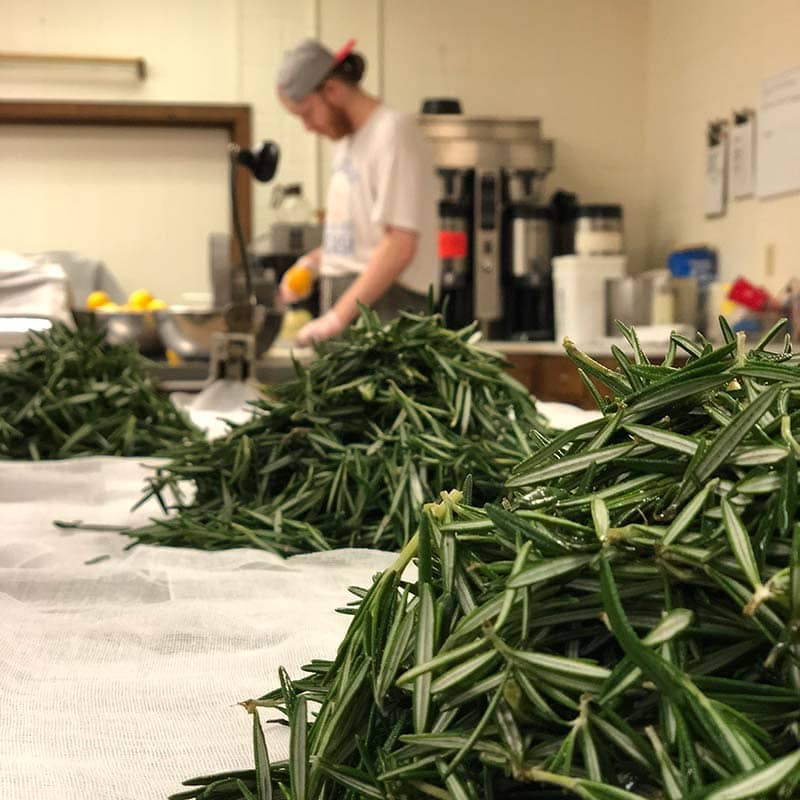 Seedless Blackberry Rosemary Jam : 7 OZ