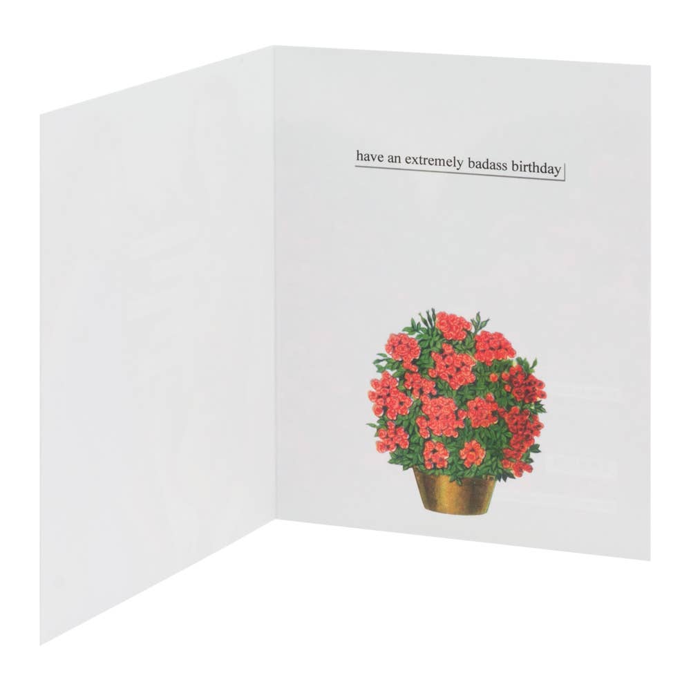 Birthday Card Poor Choices Anne Taintor