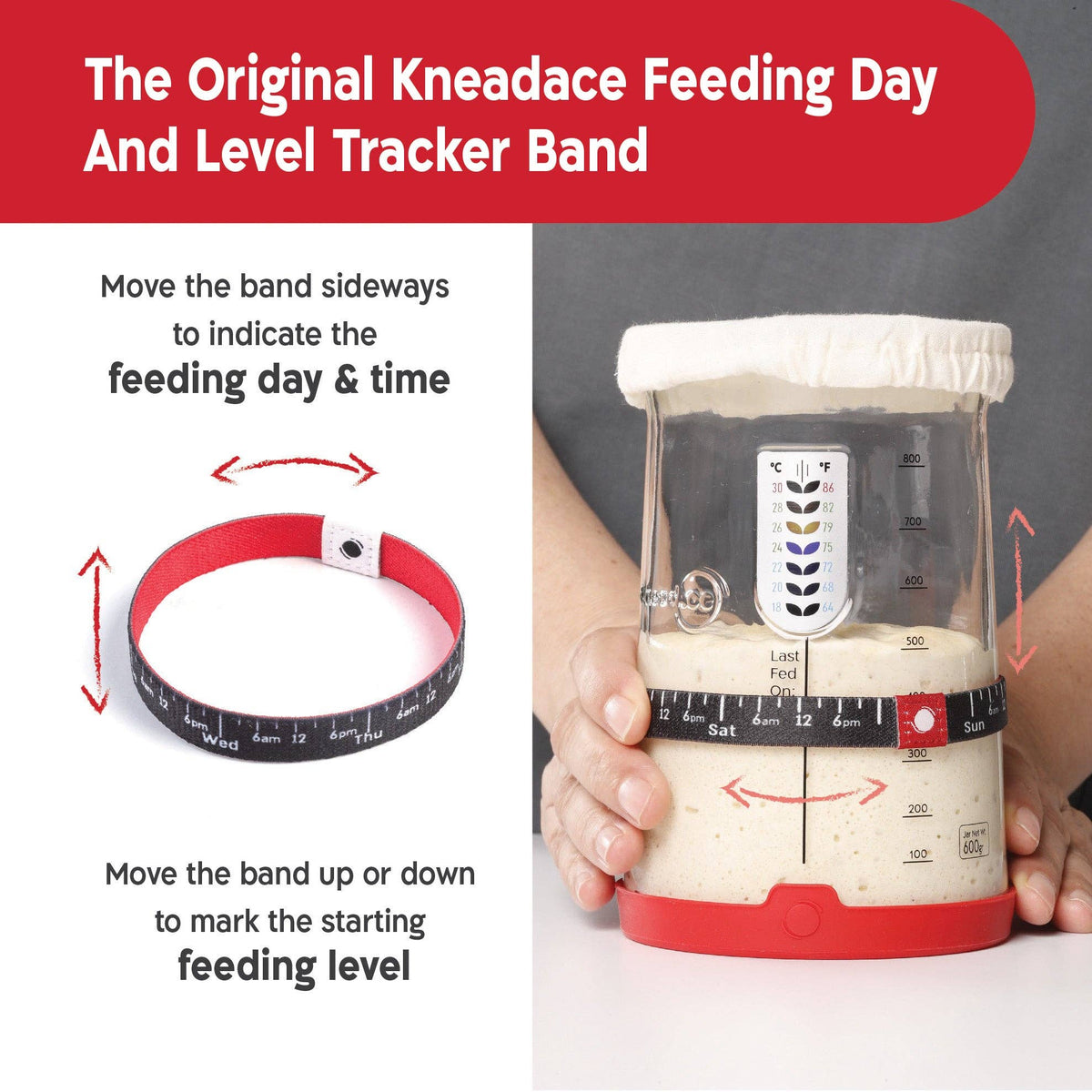 KneadAce® PRO  34 Oz Sourdough Starter Jar: Single Pack