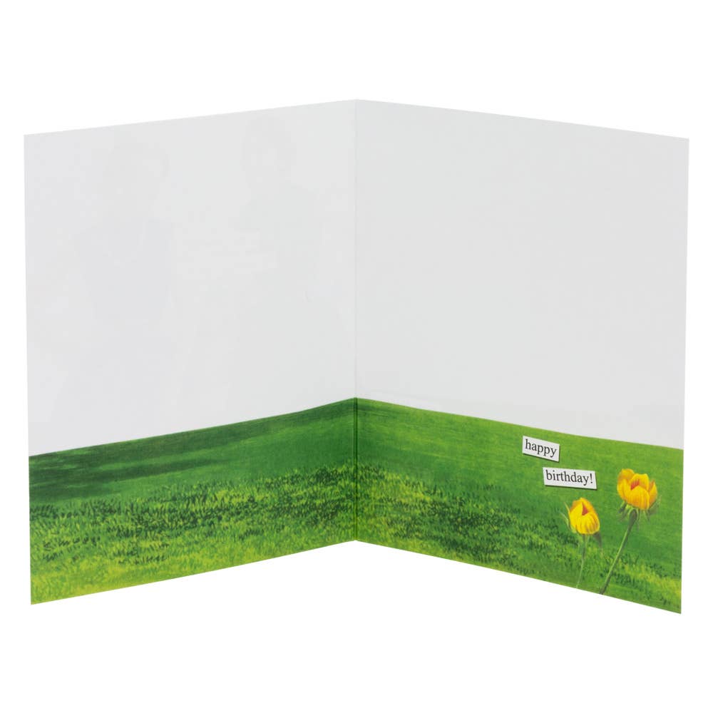 Birthday Card Live Forever Anne Taintor