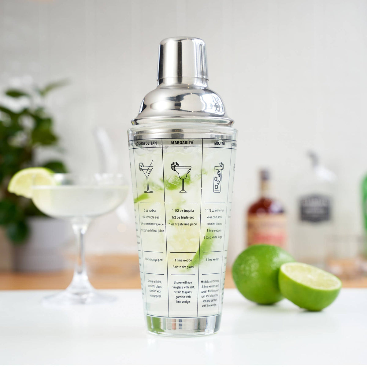 7-Cocktail Recipe Stainless Steel & Glass Shaker - 13.5 oz