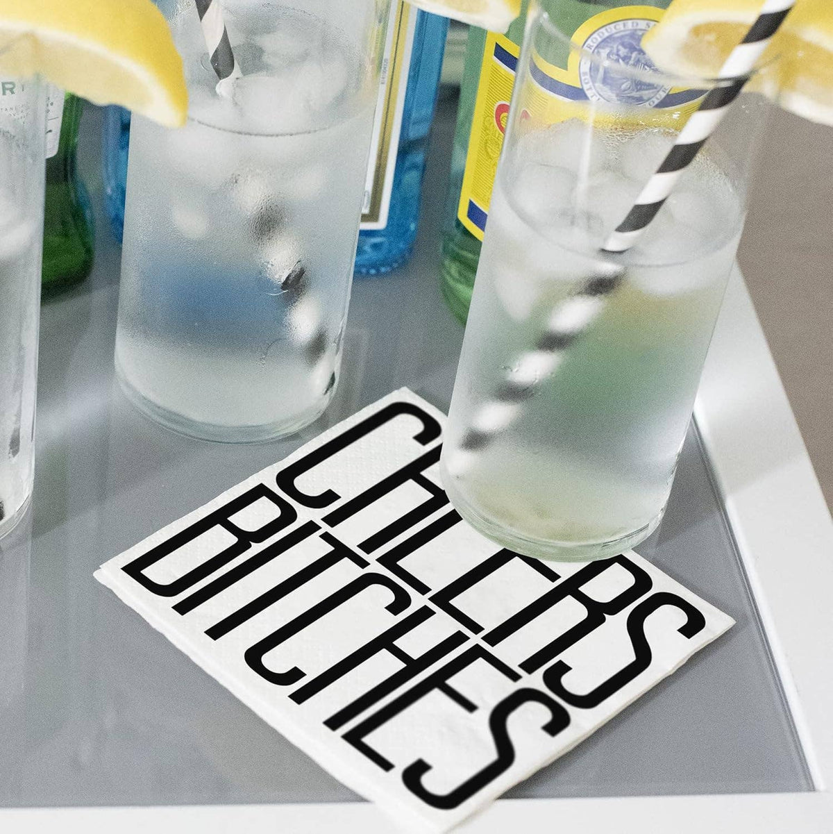 Twisted Wares Funny Cocktail Napkins – CHEERS BITCHES Pack