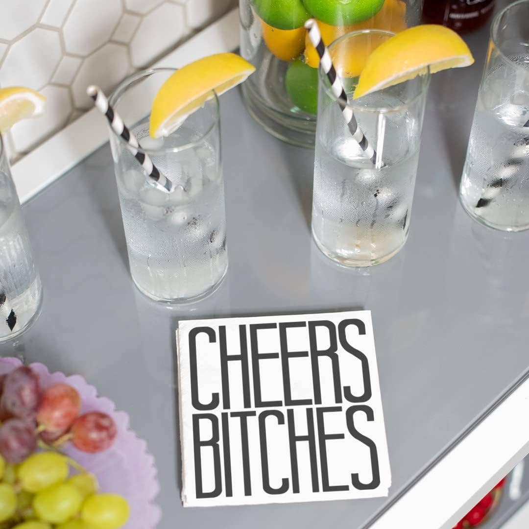 Twisted Wares Funny Cocktail Napkins – CHEERS BITCHES Pack